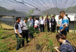 投资2～3万小生意养殖或种植(万元小生意加盟店排行榜)