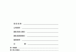 创业小项目个人创业计划书带数据("创业项目计划书")