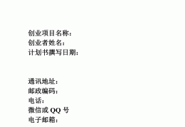小项目创业计划书600字(创业项目计划书范文案例1000字)
