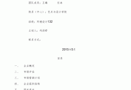 奶茶店创业计划书(奶茶店创业计划书ppt)
