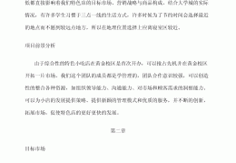 创业计划书3000字(大学生版)(创业计划书3000字大学生版非遗)