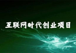 十万元创业好项目(十万元创业项目大全)