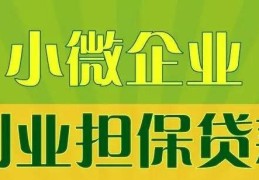 创业贷款20万元内免息怎么申请(创业贷款20万元内免息怎么申请的)