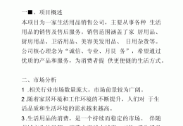 创业小项目方案(创业项目方案书)